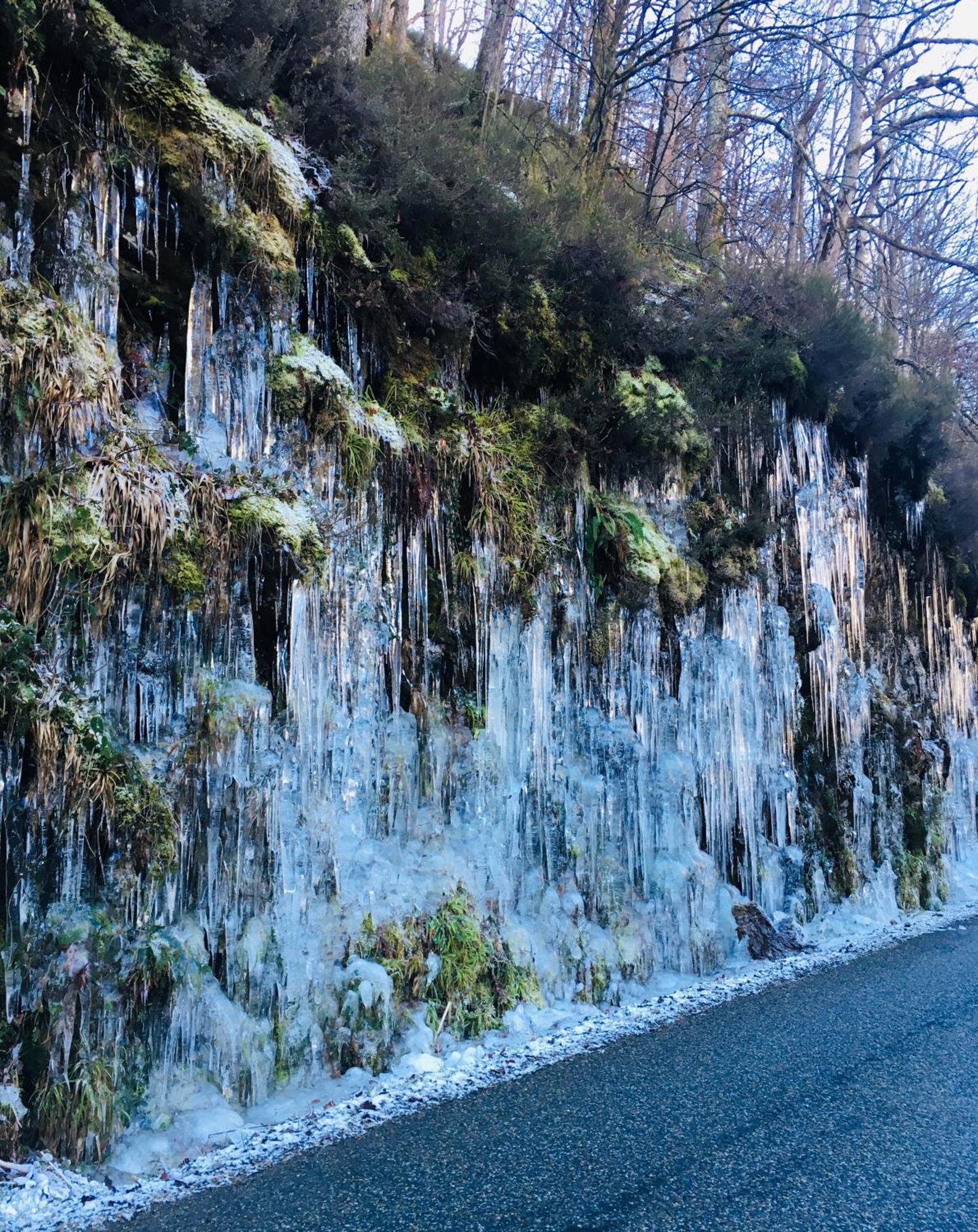 Gites Libellule Aleu Exterior foto